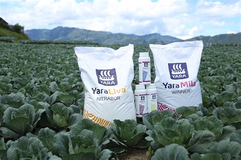 yara philippines|About Yara .